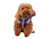 Chinese Traditional Style Clothes Dog Costume