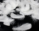 400 Pieces Decorative Feathers for Craft, Party - White