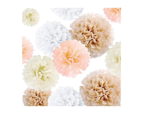Tissue Paper Pom Poms 20 Pieces Flower Balls for Party Decorations