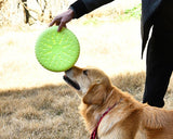 Dog Flying Saucer Training Frisbee