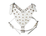 Punk Series Spiked Pet Dog Harness